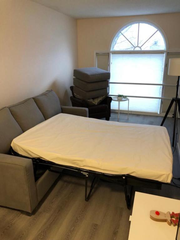 #304 Mountain View 1Br In Canmore Dt Eksteriør bilde